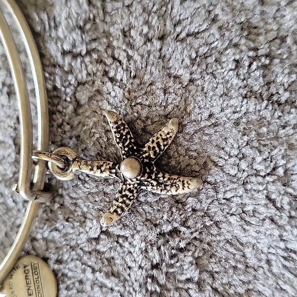 Alex And Ani Bracelet - Picture 2 of 4